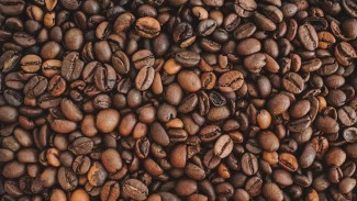 Perbedaan Kopi Robusta dan Kopi Arabika. Mana yang Cocok untuk Anda?