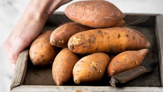 Kenali Kandungan Nutrisi dan 8 Manfaat Ubi Jalar Bagi Kesehatan Tubuh yang Jarang Orang Tahu