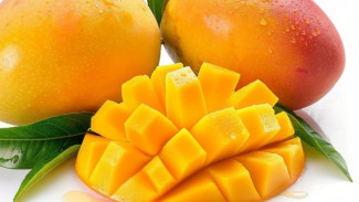 Si Kuning Segar yang Bikin Sehat! Ini 9 Manfaat Mangga yang Jarang Kamu Sadar