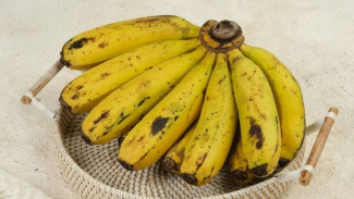 Hanya Tahu Namanya Tapi Tidak Tahu Manfaatnya? Kenali Pisang Ambon dengan Aneka Manfaatnya!