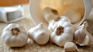 Bawang Putih Tunggal, Bumbu Dapur yang Kaya Sejuta Manfaat