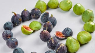 Kandungan Nutrisi dan 8 Manfaat Buah Tin untuk Kesehatan Tubuh yang Jarang Diketahui