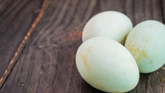 Telur Bebek Tinggi Protein untuk Menu Diet Harian yang Terjangkau