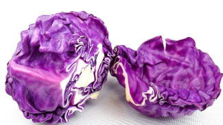 Kenali Kol Ungu, Kandungan dan Manfaatnya Yang Cocok Untuk Diet!