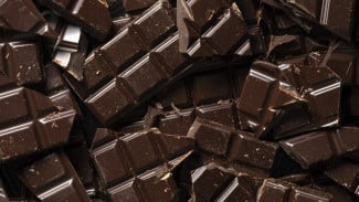 Coklat Hitam, Makanan yang Cocok Untuk Kalian yang Alami Stres!