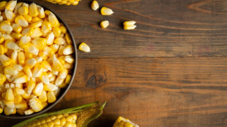 Apakah Jagung Baik Untuk Tubuh Kita? Ini 5 Manfaat Jagung dan Resep Bubur Jagung yang Mudah Dibuat
