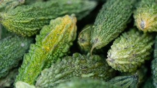 Tips Memasak Pare Tidak Pahit