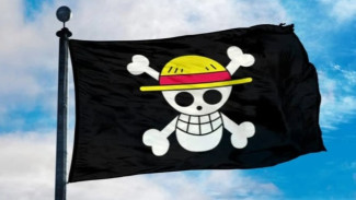 Fenomena Bendera One Piece, DPR Sebut Bentuk Ekspresi dan Kritik Sosial, Bukan Makar