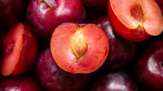 Kaya Akan Nutrisi, Inilah 8 Manfaat Buah Plum Bagi Kesehatan Tubuh yang Kamu Harus Tahu