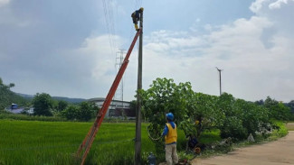 PLN Operasikan Program Pompanisasi di Ponorogo, Petani Tak Lagi Andalkan Mesin Diesel
