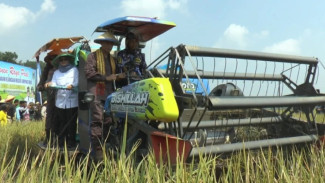 Kejati Lampung Dampingi Ribuan Petani Padi, Targetkan 28 Ribu Ton Gabah Demi Wujudkan Ketahanan Pangan Nasional