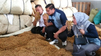 DPRD Probolinggo dan HKTI Soroti Dugaan Permainan Harga Tengkulak Saat Sidak Gudang Tembakau