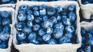 Daftar 7 Makanan Super untuk Perkuat Daya Ingat dan Fungsi Otak, Anak Auto Cerdas!