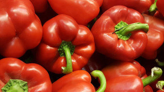 3 Sayuran yang Bagus Dikonsumsi Oleh Penderita Penyakit Ginjal