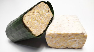 Cuma 2 Hari Langsung Jadi! Cara Mudah Bikin Tempe di Rumah