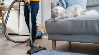 Gak Perlu Capek Lagi! Begini Cara Hilangkan Bulu Hewan dari Rumah Secara Cepat