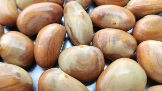 Jangan Dibuang! Inilah Berbagai Macam Manfaat Biji Nangka yang Baik Untuk Kesehatan Kamu!
