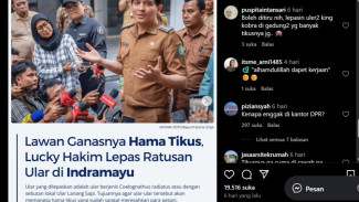 Viral! Ribuan Ular Dilepas di Indramayu untuk Basmi Hama Tikus, Netizen Heboh