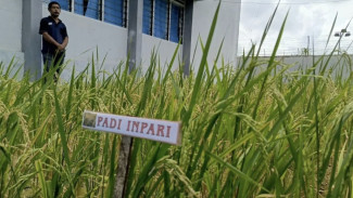 Dukung Astacita Prabowo, Ditjenpas Babel Cetak 20% Warga Binaan Jadi Ahli Pangan!