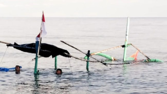 20 Perahu Wisata di Pasir Putih Situbondo Tenggelam Akibat Hantaman Gelombang Tinggi