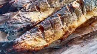 Resep Bandeng Asap Khas Sidoarjo, Aromanya Bikin Lapar Seketika!