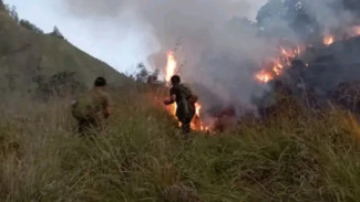 Kebakaran Hanguskan 70 Hektare Savana Rinjani, Kini Api Berhasil Dipadamkan