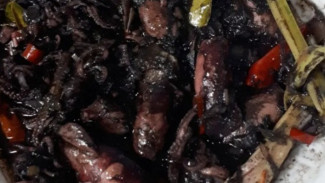 Cumi Hitam Pedas Manis, Gurihnya Bikin Nambah Nasi Terus!