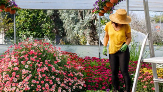12 Kebiasaan Harian yang Tak Boleh Dilewatkan Agar Tetap Sehat Optimal