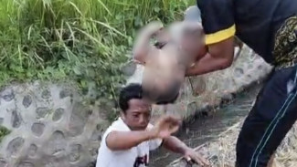 Balita Ditemukan Meninggal di Saluran Irigasi Jember