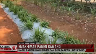 Heboh! Dukung Program Makan Gratis Pemerintah, Lahan Tidur di Bekasi Jadi Ladang Uang