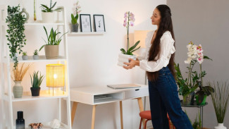 Menata Ulang Sudut Rumah, Detail Kecil yang Mengubah Banyak Hal!