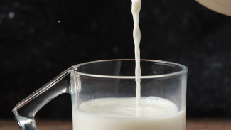 4 Benefit yang Kamu Dapat dari Konsumsi Susu Murni Setiap Hari!