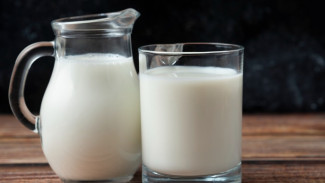 Mitos Dan Fakta Susu Segar Dan Susu Pasteurisasi Yang Wajib Kalian Ketahui!
