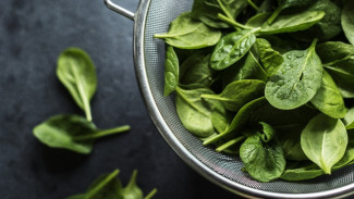 Tips Memilih dan Mengolah Kangkung agar Empuk dan Tetap Segar