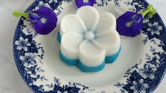 Resep Cemilan Kue Talam Singkong Manis, Lembut, dan Praktis