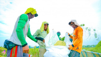 NTP Agustus 2025 Naik, Kesejahteraan Petani Meningkat dan Optimisme Pangan Nasional Menguat