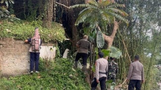 Macan Tutul Kabur dari Lembang Park and Zoo Diduga Menuju Gunung Tangkuban Parahu