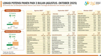 Panen Raya di 10 Provinsi, Stok Beras Nasional Melimpah hingga Akhir Tahun!