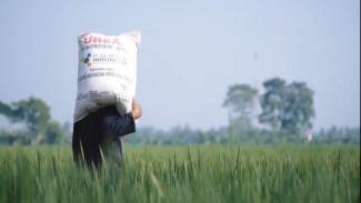 Distribusi Lebih Cepat, Pupuk Subsidi Kini Bisa Ditebus Hanya dengan KTP!