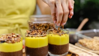 Resep Puding Alpukat Cokelat Sehat, Dessert Lezat dengan 5 Menit Saja