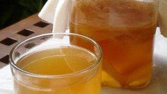 Kombucha Segar Tren Minuman Kekinian Bikin Awet Muda