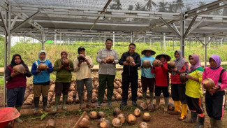 Kementan Genjot Ekspor Gula Kelapa Kristal, Targetkan Swasembada Gula 2030!