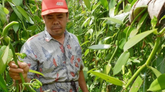 Ambisi Antam Ciptakan Emas Hijau, Targetkan 93 Persen Energi Terbarukan