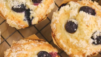 Resep Blueberry Muffin Enak dan Lembut Ala Chef Luvitaho