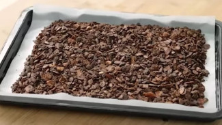 Boost Energy di Pagi Hari dengan Granola Oat Homemade Ini!