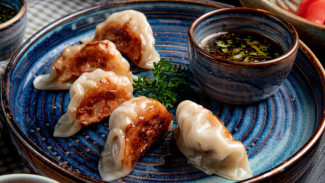 Resep Wonton Airfryer Sehat, Cocok Untuk Kudapan Keluarga