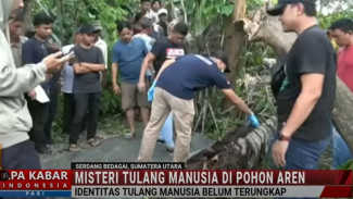 Tulang Manusia Ditemukan dalam Batang Pohon Aren, Terungkap Identitas Korban Hilang Sejak 2 Tahun Lalu!