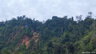 Negara Kuasai Lagi 321 Hektare Tambang Ilegal, Dua Perusahaan Tersandung!