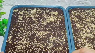 Resep Jenang Kudus, Oleh-Oleh Khas Kota Kretek!