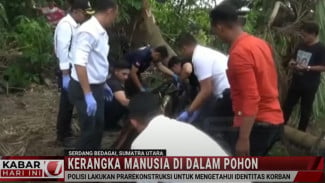 Misteri Kerangka Manusia di Batang Pohon Aren Terungkap!